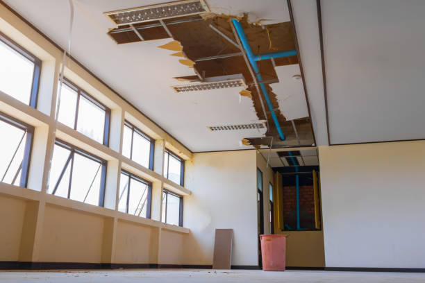 Best 24/7 water damage repair  in West Unity, OH