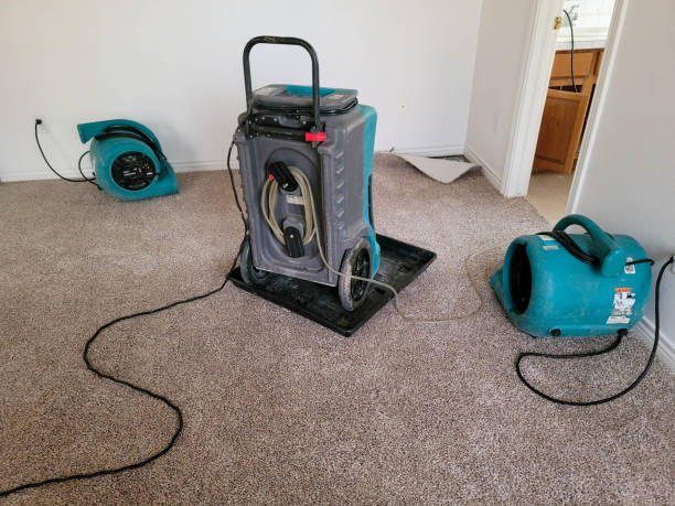 Best 24-hour water damage restoration  in West Unity, OH