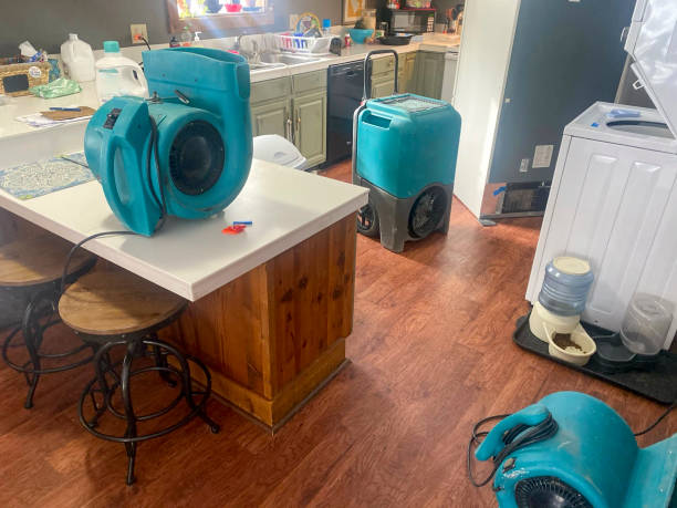Best Professional water damage repair  in West Unity, OH
