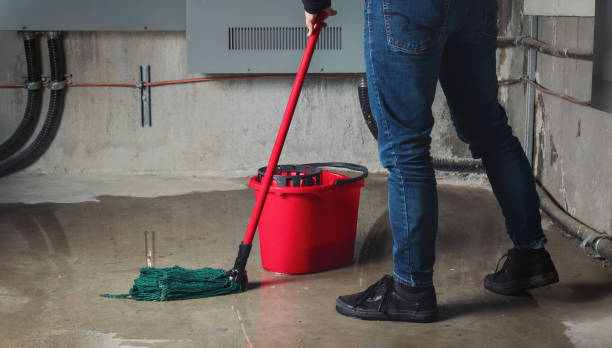 Best Water damage cleanup near me  in West Unity, OH