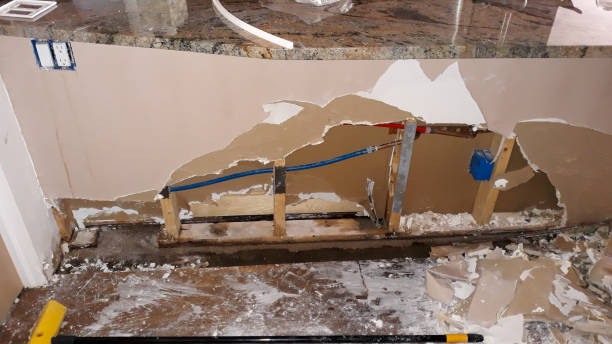 Best Mold removal after water damage  in West Unity, OH