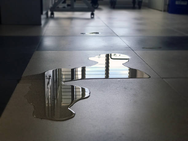 Best Carpet water damage restoration  in West Unity, OH