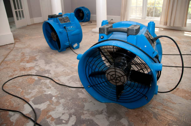 Best Ceiling water damage repair  in West Unity, OH