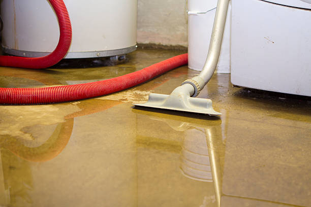 Best Water damage repair service  in West Unity, OH