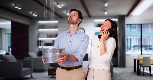 Best Residential water damage restoration  in West Unity, OH